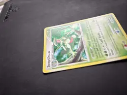 Pokemon TCG Sceptile 8/106 Great Encounters Rare Holo - PLAYED - Image 4