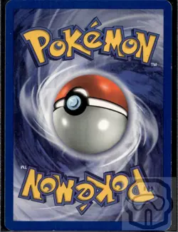 Pikachu 60/64 C Jungle Pokemon 1st Edition NM/M - Image 4