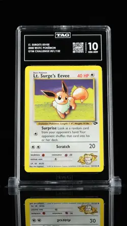 Lt. Surge's Eevee 2000 Pokemon Gym Challenge TAG 10 #51 - Image 1