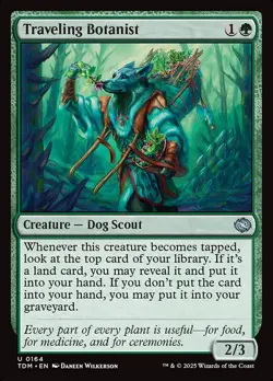 Traveling Botanist Foil (164) Tarkir: Dragonstorm TDM MTG Magic - Image 1