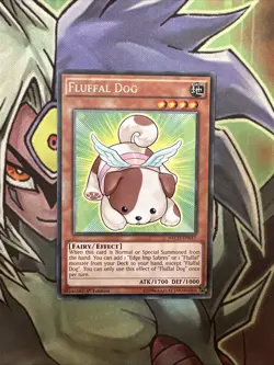 NECH-EN017 Fluffal Dog Rare 1st Edition NM Yugioh Card - Image 1