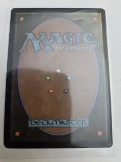 mtg, Windswept Heath Zendikar Rising Expeditions Regular NM - Image 2