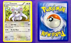 Cinccino 89/114 Non Holo Black & White Base Set | 2011 Pokemon TCG Card | LP/NM - Image 3