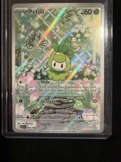 Petilil 091/086 Black Bolt Holo Illustration Rare Pokemon TCG - Image 1