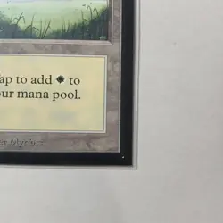Plains (A) #288 x (4) MTG - Collectors' Edition (CE) - EX/NM - Image 4