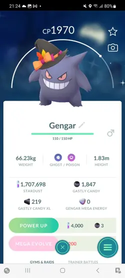 Pokemon Go Shiny Gengar Halloween Costume - Image 1