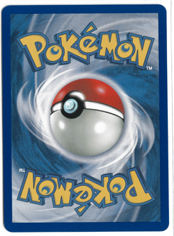 Pokemon WEEDLE 114/144 NON-HOLO (PACK FRESH) Skyridge - Image 2