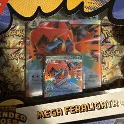 2 Pack - Pokemon Ascended Heroes Mega Feraligatr & Mega Meganium ex Box Sealed - Image 3