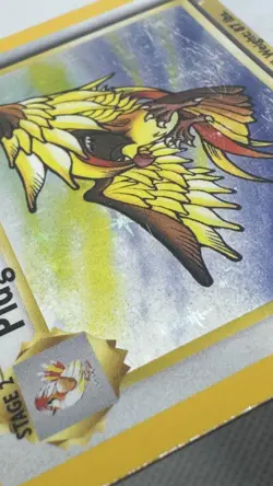Pidgeot 8/64 Heavy Play Jungle Set 1999 Pokemon Card Holo Rare Holofoil - Image 3