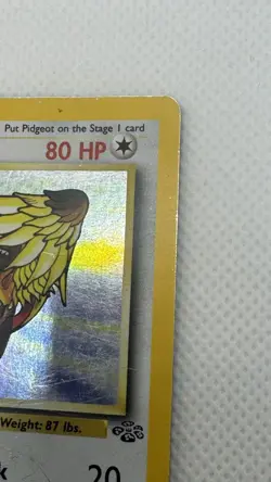 Pidgeot 8/64 Heavy Play Jungle Set 1999 Pokemon Card Holo Rare Holofoil - Image 4