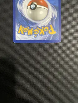 Garchomp ex 219/182 SV04 Paradox Rift Pokemon Ultra Rare Full Art Holo English - Image 5