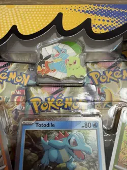 Pokemon Ascended Heroes First Partner Deluxe Pin Collection Sealed Brand New - Image 4
