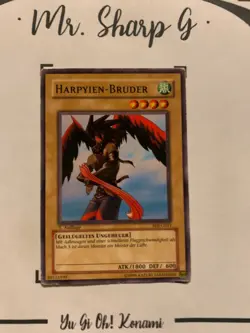 HARPYIEN-BRUDER - 1. AUFLAGE SDJ-G011 DEUTSCH Yu-Gi-Oh! CARD COMMON KONAMI TCG - Image 3