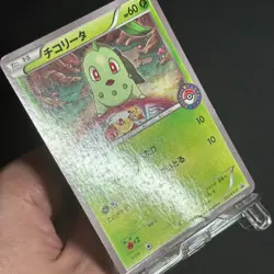 Cyndaquil 223/XY-P Chikorita Totodile Promo Pokemon Card Japanese - Image 4