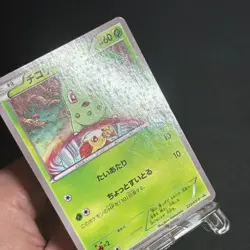 Cyndaquil 223/XY-P Chikorita Totodile Promo Pokemon Card Japanese - Image 5
