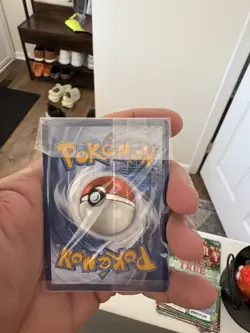Pokemon TCG Mimikyu Scarlet & Violet Promo Sealed 75 Card - Image 4