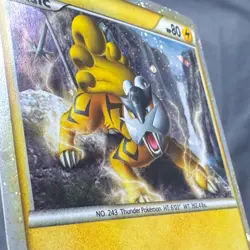 HP+ Raikou HGSS19 Promo HGSS Black Star Promos Pokemon Noriko Hotta - Image 5
