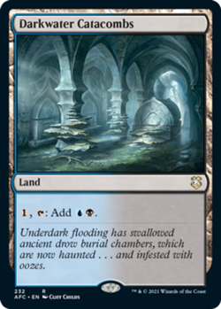 Darkwater Catacombs x4 - Commander: Adventures in the Forgotten Realms - NM-Mint - Image 1