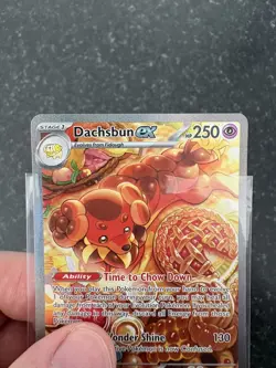 Pokemon TCG Dachsbun ex 169/142 SV07 Stellar Crown SIR Full Art Holo NM - Image 5