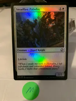 Magic the Gathering - MTG - AFR - Steadfast Paladin - Foil - Common - Image 1
