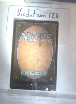 Sol Ring + Talisman of Hierarchy (Borderless): MTG Strixhaven. Foils P- 427/431 - Image 2