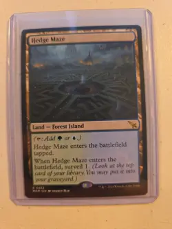 Hedge Maze MKM NM MTG - Image 1