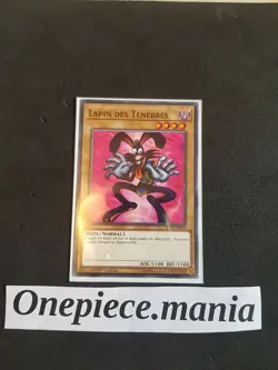 Yu-Gi-Oh [SD] Lapin des Tenebres (Dark Rabbit) : SS01-FRC04 -VF/Commune - Image 1