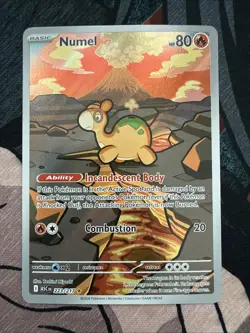 Numel 223/217 - Pokemon TCG Ascended Heroes - Near Mint NM - Image 1