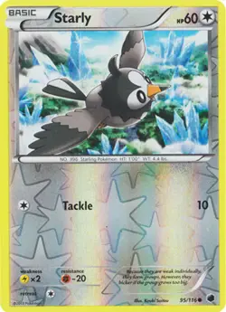 Pokemon - Starly - 95/116 - Common - Reverse Holo - Plasma Freeze - NM - Image 1