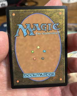 Ocelot Pride Modern Horizons 3 Regular Near Mint - Image 2
