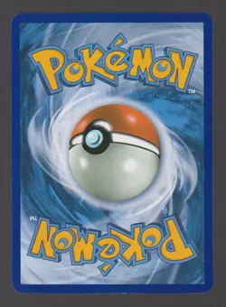 Pokemon Magikarp & Wailord GX Tag Team SM166 Holo Black Star Promo Jumbo Card - Image 2