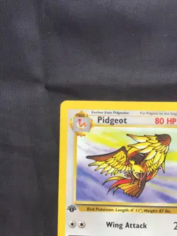 Pokemon Cards: Jungle 1st Edition Rare: Pidgeot 24/64 - Image 2