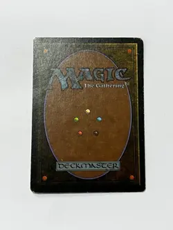 MTG WHEEL OF FORTUNE French - RUOTA DELLA FORTUNA FWB MAGIC - Image 2