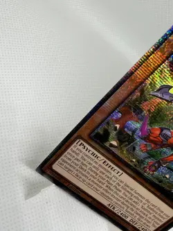 Kashtira Fenrir RA05-EN024 Starlight Rare Yu-Gi-Oh Rarity Collection V NM/M - Image 3