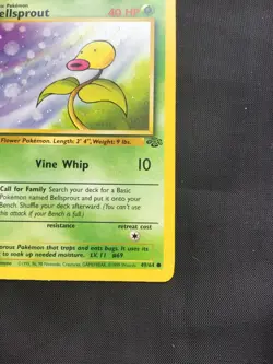 Pokemon Cards: Jungle 1st Edition Common: Bellsprout 49/64 - Image 4
