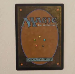 Wizards of the Coast Rishadan Port Masters 25 Regular English Rare Land #246 - Image 2