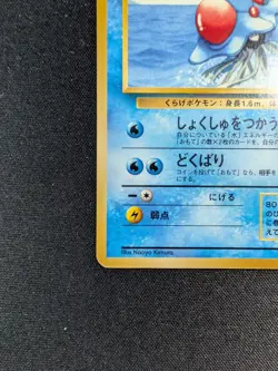 [HP] ❤ Pokemon Tentacruel No. 073 Non Holo Southern Islands Japanese JP TCG - Image 5