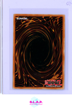 SHINATO KONIG EINER HOHEREN EBENE YU-GI-OH! 2023 DARK CRISIS 25TH ANN. HOLO GER - Image 2