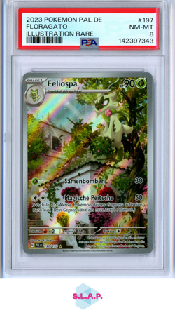 FLORAGATO ILLUSTRATION RARE POKEMON GERMAN PAL DE-PALDEA EVOLVED 2023 197 PSA 8 - Image 1