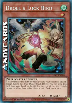 DROLL & LOCK BIRD • Rara Collector Prismatica Art • RA02 EN006 • 1Ed • Yugioh! - Image 1