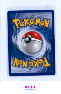 KEIFEL POKEMON 43/144 2003 SKYRIDGE GERMAN - Image 2