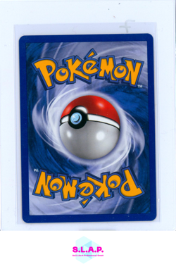 MACHOLLO POKEMON 74/144 2003 SKYRIDGE GERMAN - Image 2