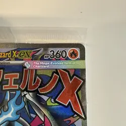 Pokemon | Mega Charizard X ex 023 + Oricorio 024 (black star promos) SEALED - Image 2