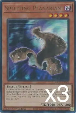 3X Yugioh Splitting Planarian MP25-EN263 Ultra Rare 1st Edition NM - Image 1