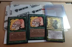 Mtg Dakkon Blackblade /Llanowar Elves(2) All 3 cards in Italian - Image 2