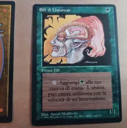 Mtg Dakkon Blackblade /Llanowar Elves(2) All 3 cards in Italian - Image 5