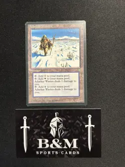 Adarkar Wastes R Ice Age MTG Moderately Played - Image 1