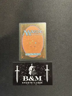 Adarkar Wastes R Ice Age MTG Moderately Played - Image 2