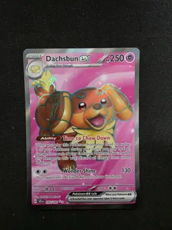 DACHSBUN EX - 160/142 - STELLAR CROWN - ULTRA RARE - POKEMON CARD - Image 1