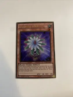 Yu-Gi-Oh Card - PGL2-EN033 - GLOW-UP BULB - Image 1
